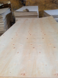 VIETNAM PACKING PLYWOOD WITH CHEAP PRICE 